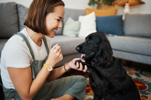 Consejos para encontrar cuidadores de mascotas confiables