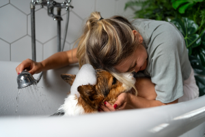 Perro recibiendo un servicio de baño a domicilio para perros