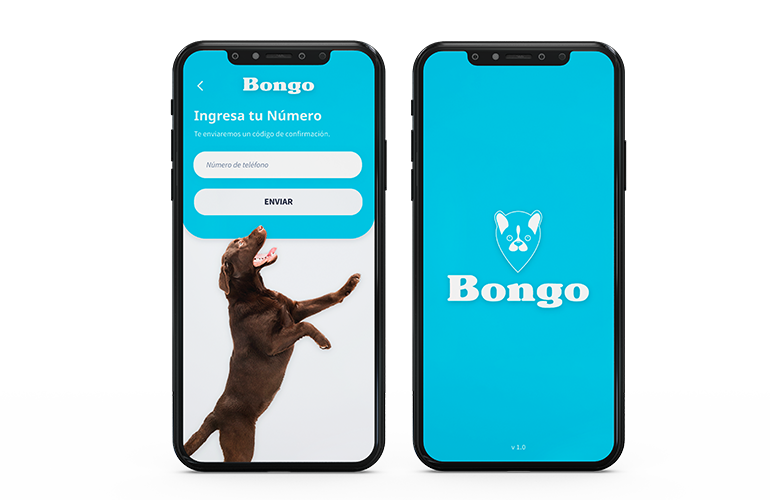 App para conectar con un cuidador de perros y gatos