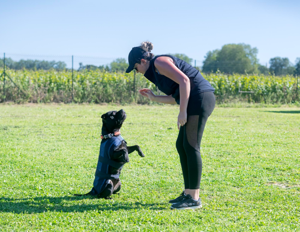 Paseadora de perros entrenando a un perro al aire libre