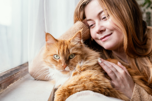 Gato naranja acariciado por cuidadores de mascotas