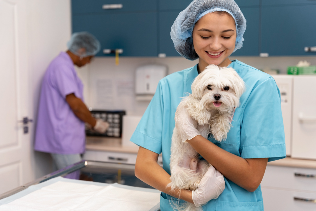 Chequeo médico para mascotas en una veterinaria 24 horas en Panamá, con personal capacitado brindando cuidados 