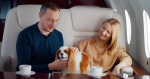 Matrimonio disfrutando viajar en avión con su perro