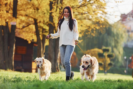 Paseo de dos perros con una cuidadora en un entorno natural, ejemplificando el servicio que ofrece un cuidador de perro para mejorar la calidad de vida de las mascotas.