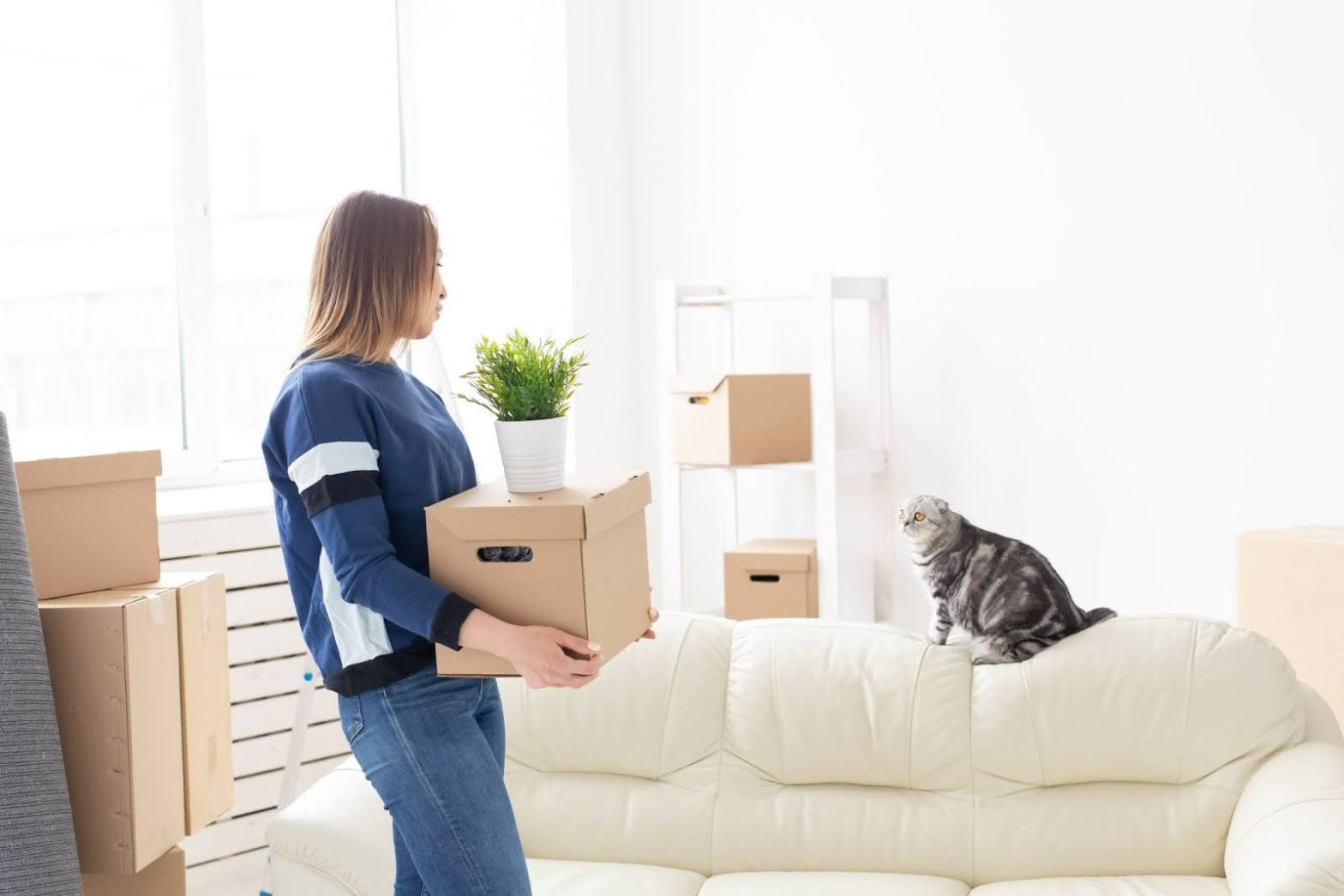 Mujer cargando cajas con un gato de fondo. Se preparan para una mudanza con mascotas en Panamá.