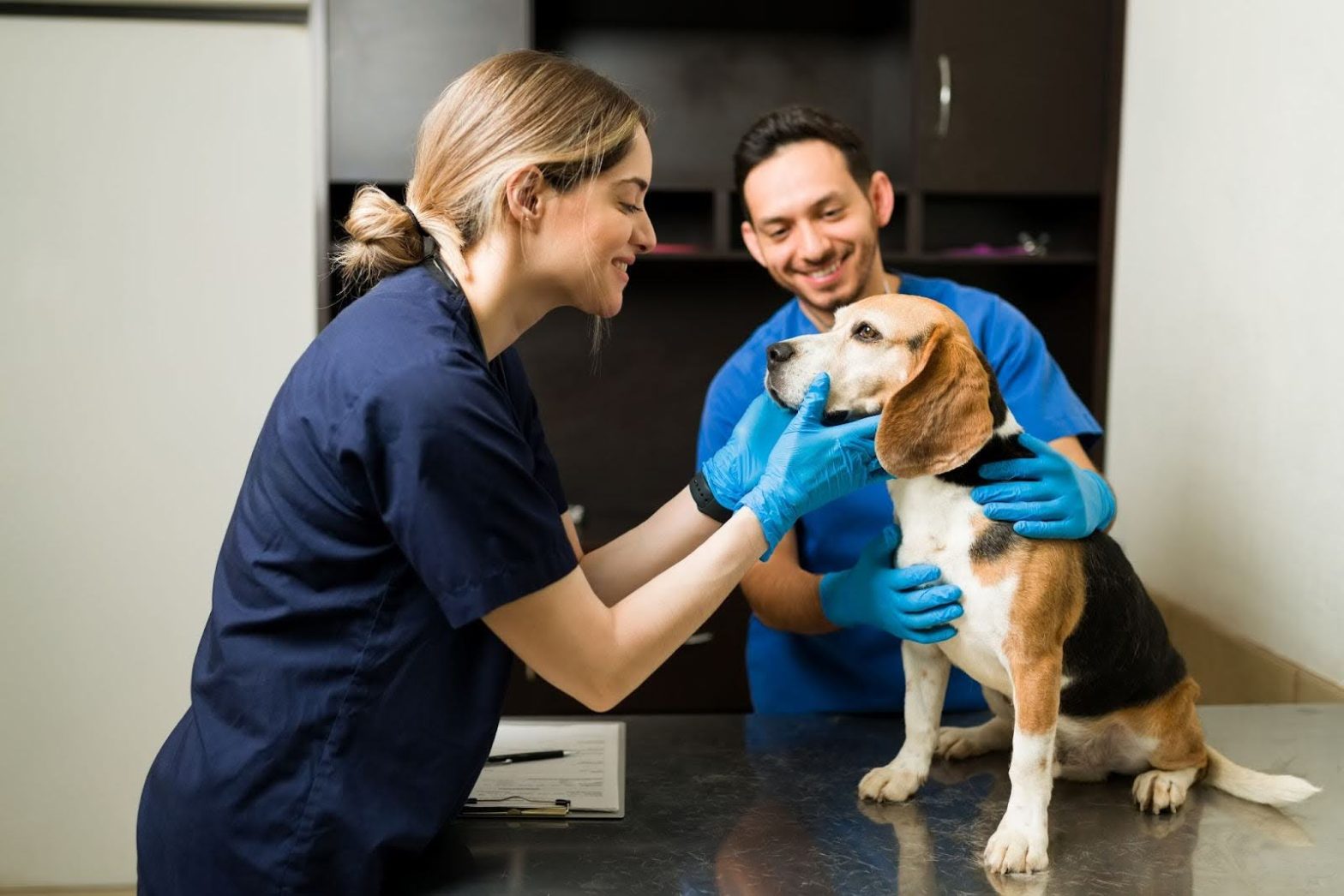 veterinarios cuidando un perro en un consultorio, gracias a la búsqueda de “veterinarias cerca mí” realizada por su dueño.