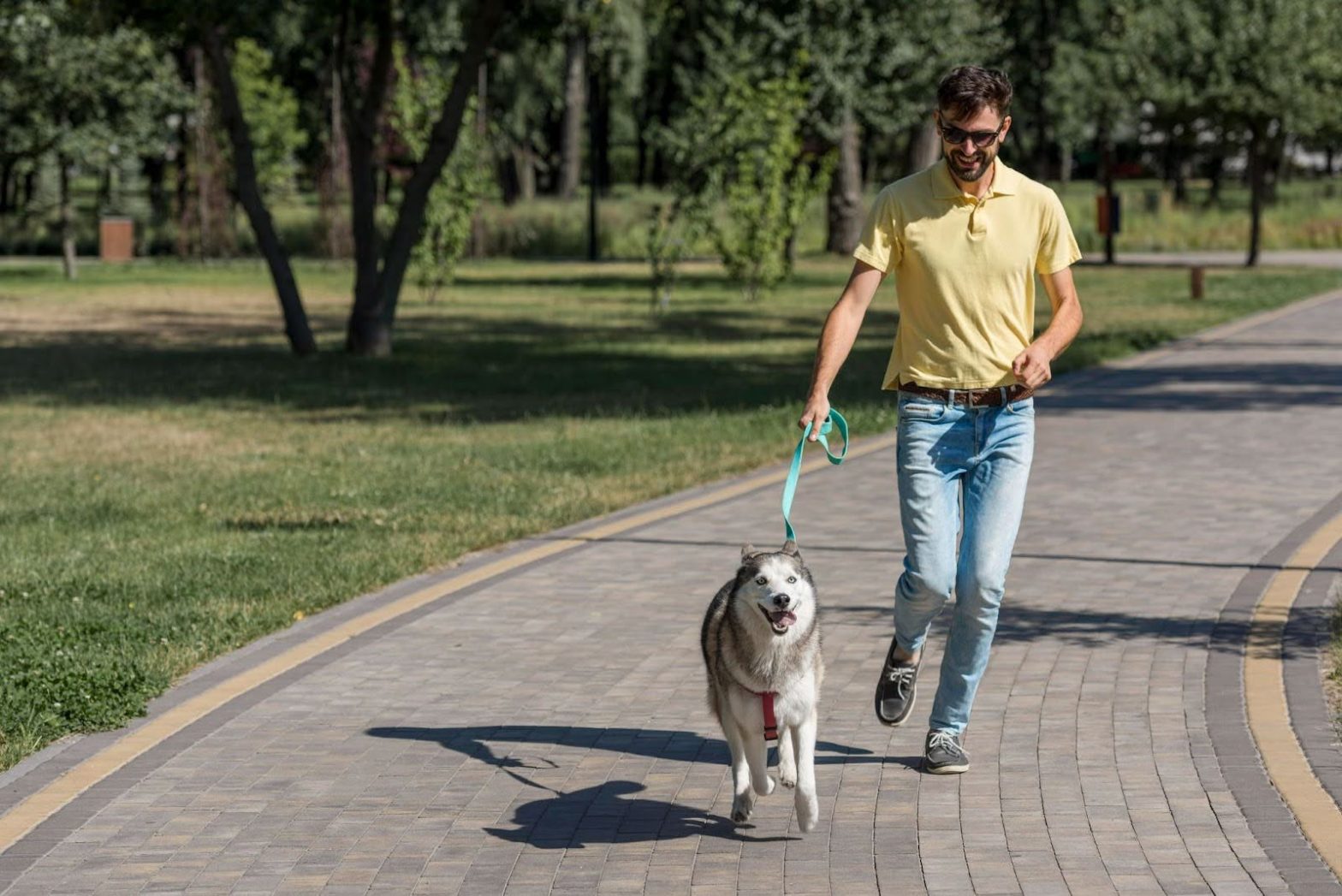 Persona paseando sus mascotas en Panamá.