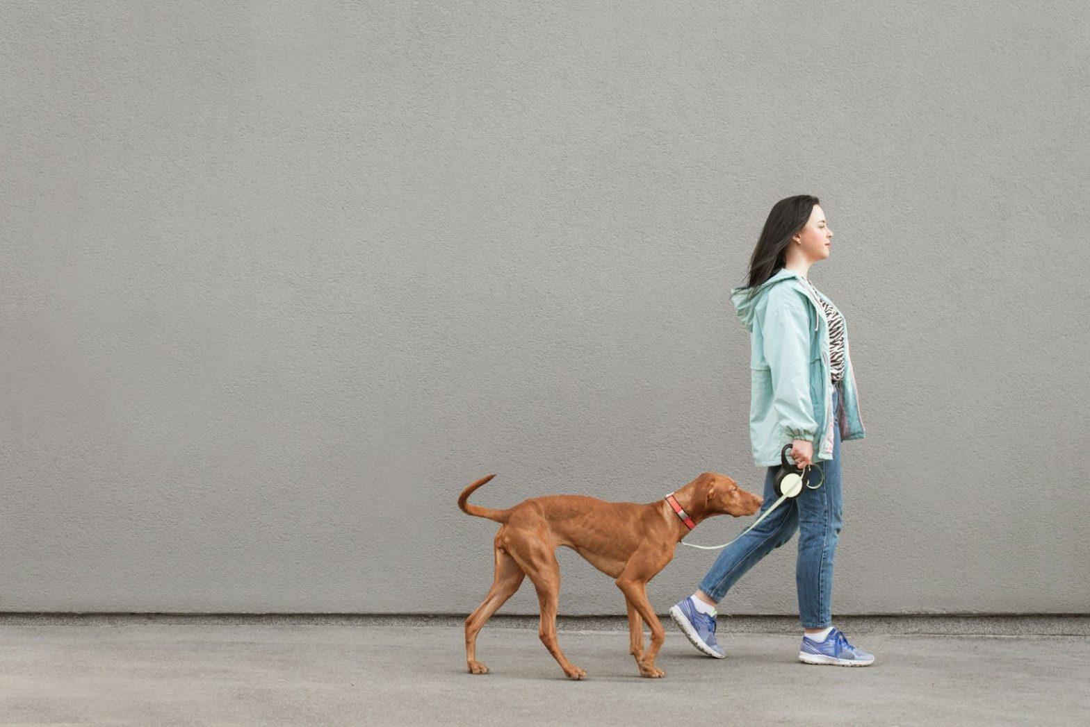 Consejos para elegir a alguien para pasear a tu perro.